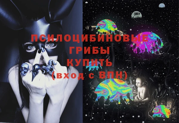 каннабис Новозыбков