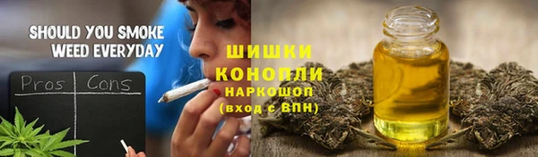 индика Почеп