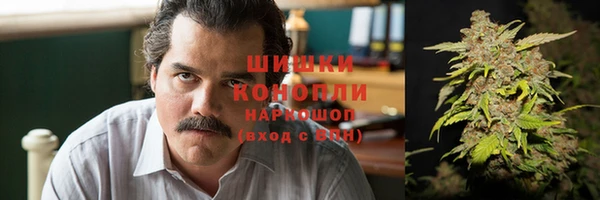 каннабис Новозыбков