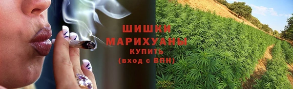 каннабис Новозыбков