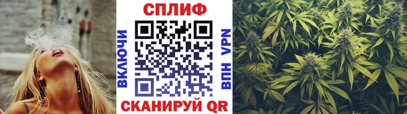 Каннабис сатива  как найти наркотики  Харабали 